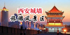 video操巨乳中国陕西-西安城墙旅游风景区